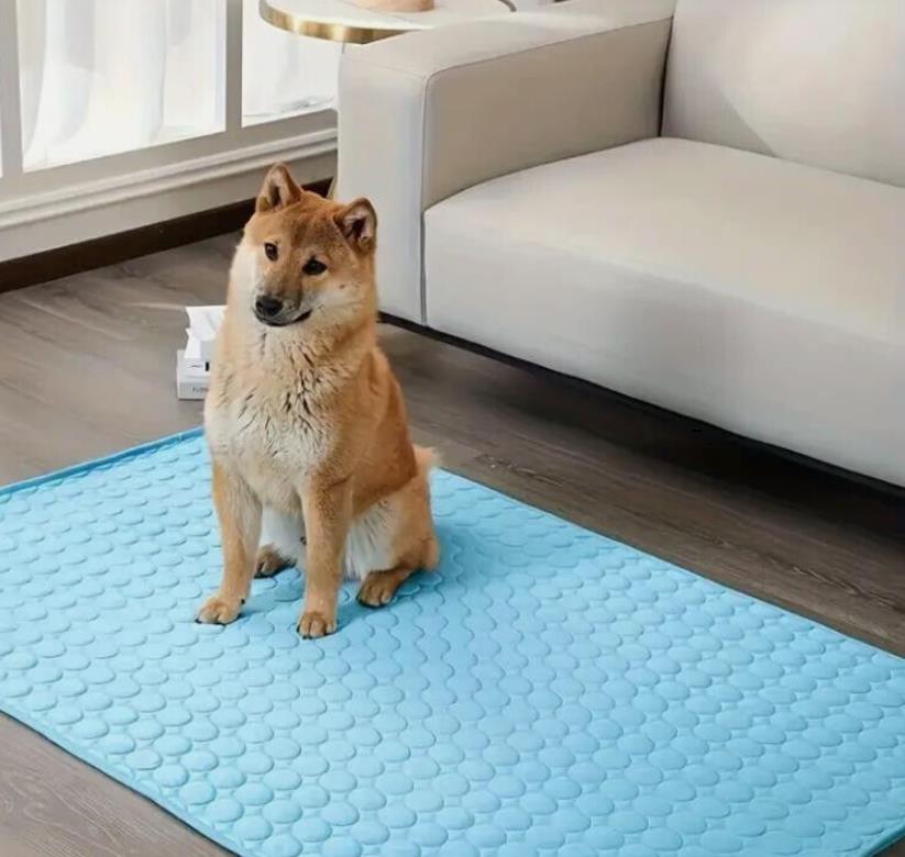 Wasserdichte Trainingsunterlagen Pipi Decke Haustier Pee Pad Saugfähig Waschbar!