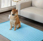 Wasserdichte Trainingsunterlagen Pipi Decke Haustier Pee Pad Saugfähig Waschbar!